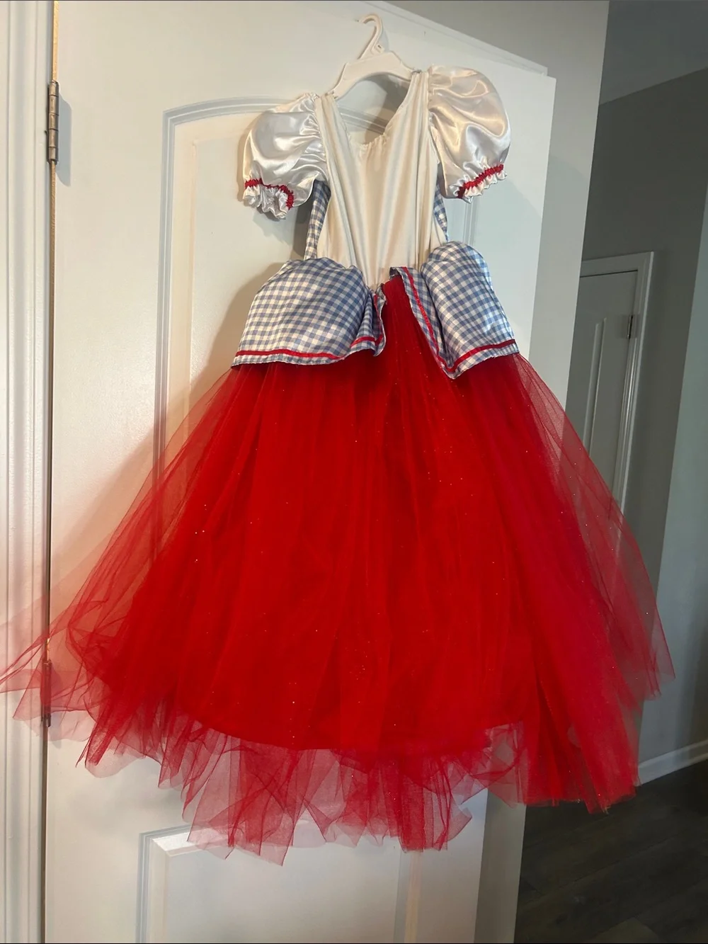 Red Tulle Kids Costume Dress with Blue Gingham Bodice